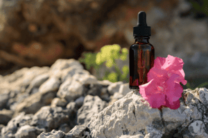 פרחי באך לנפש - כיצד פרחי באך מסייעים בהתמודדות עם דיכאון וחרדה